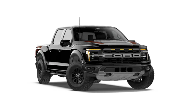 Raptor® trim image